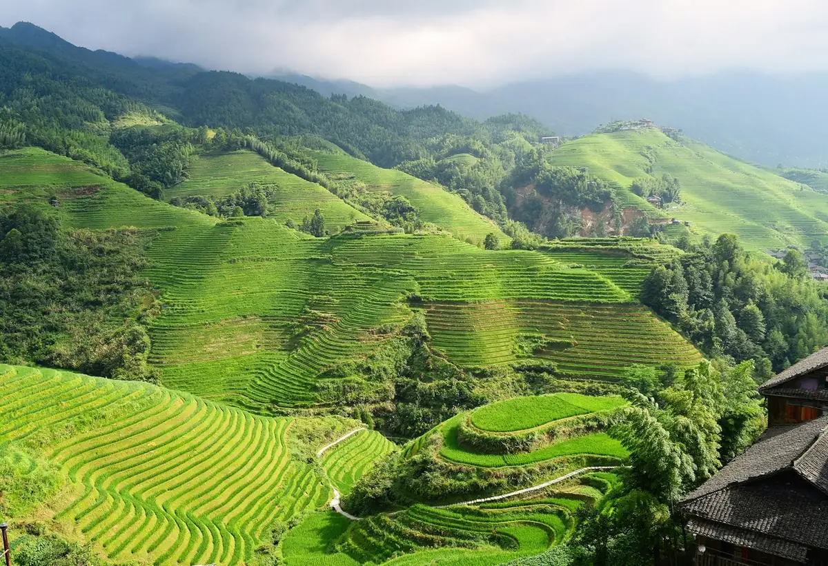 Wooden stilt houses in Longji village near the terraces